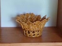 /album/fleurs-vases/vase-13-jpg/